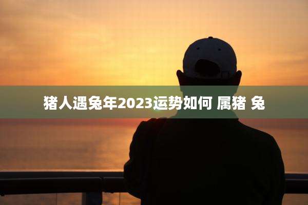猪人遇兔年2023运势如何 属猪 兔