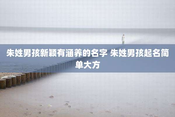 朱姓男孩新颖有涵养的名字 朱姓男孩起名简单大方