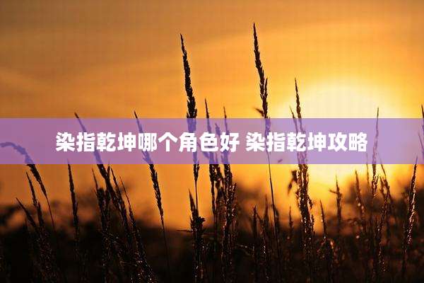 染指乾坤哪个角色好 染指乾坤攻略