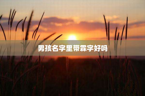 男孩名字里带霖字好吗