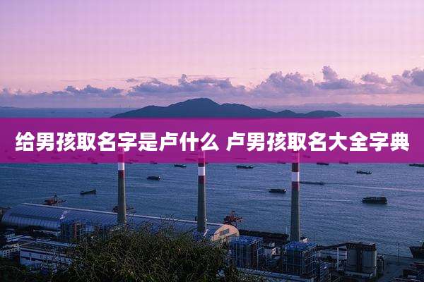 给男孩取名字是卢什么 卢男孩取名大全字典