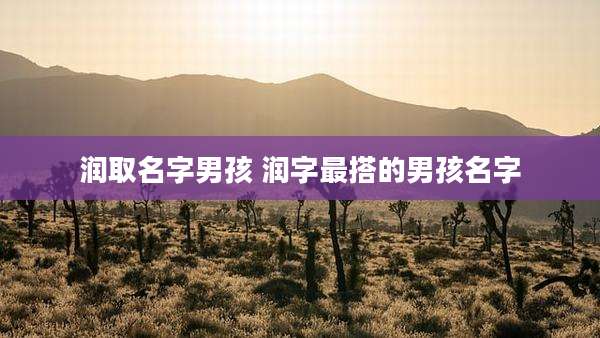 润取名字男孩 润字最搭的男孩名字