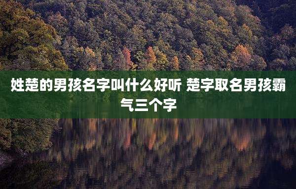 姓楚的男孩名字叫什么好听 楚字取名男孩霸气三个字
