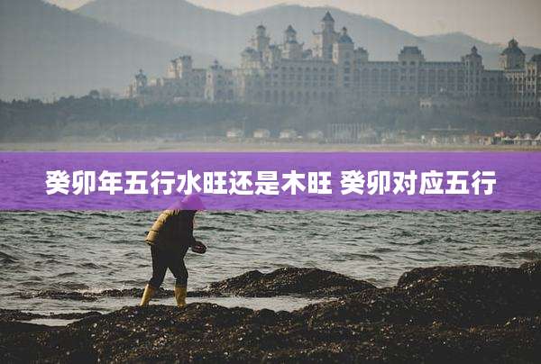 癸卯年五行水旺还是木旺 癸卯对应五行