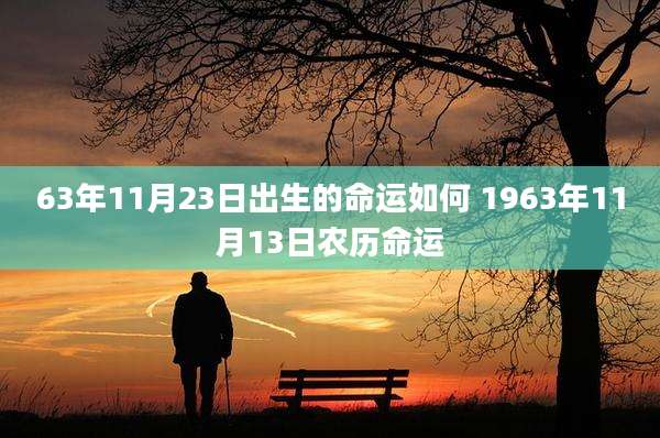 63年11月23日出生的命运如何 1963年11月13日农历命运