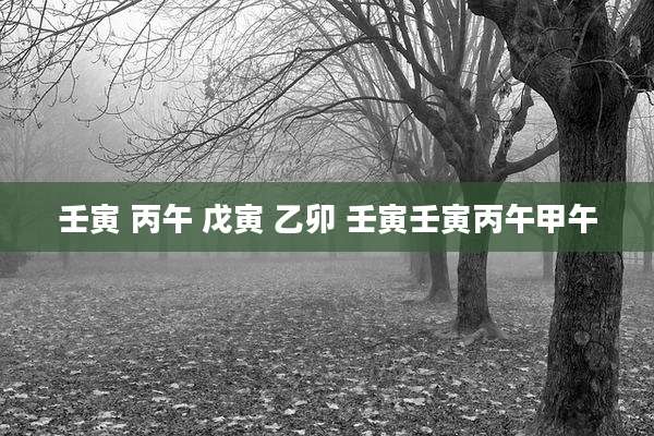 壬寅 丙午 戊寅 乙卯 壬寅壬寅丙午甲午