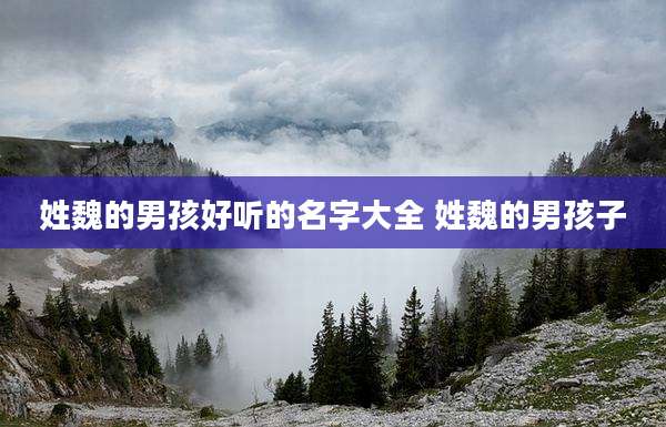 姓魏的男孩好听的名字大全 姓魏的男孩子