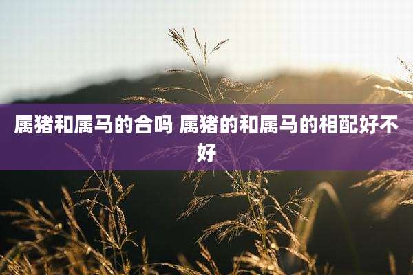 属猪和属马的合吗 属猪的和属马的相配好不好