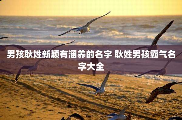 男孩耿姓新颖有涵养的名字 耿姓男孩霸气名字大全