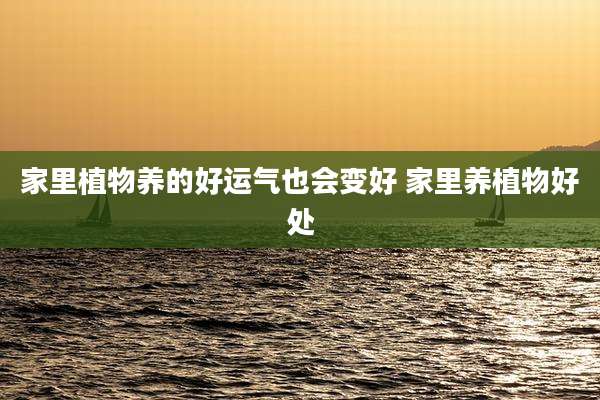 家里植物养的好运气也会变好 家里养植物好处