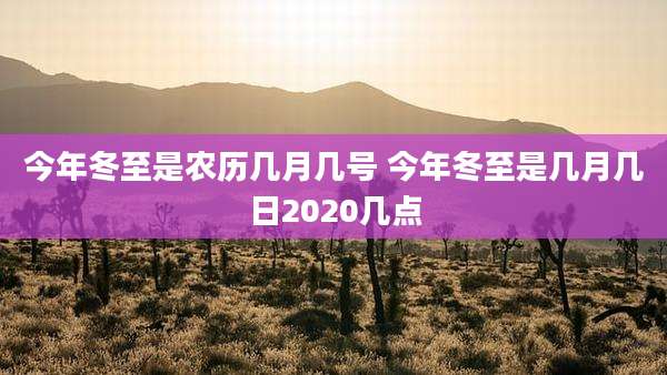 今年冬至是农历几月几号 今年冬至是几月几日2020几点