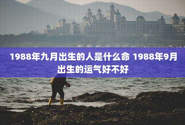 1988年九月出生的人是什么命 1988年9月出生的运气好不好