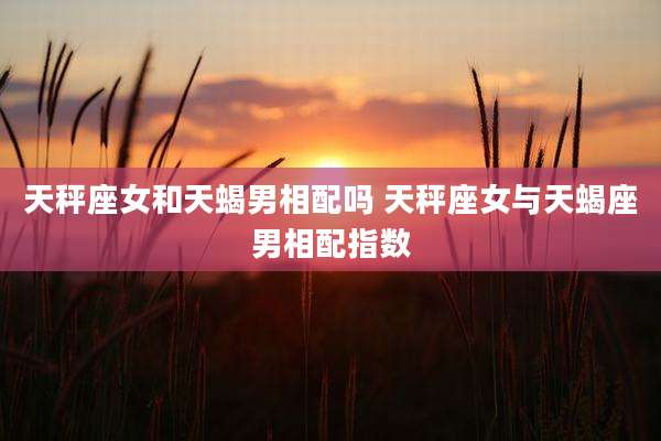 天秤座女和天蝎男相配吗 天秤座女与天蝎座男相配指数
