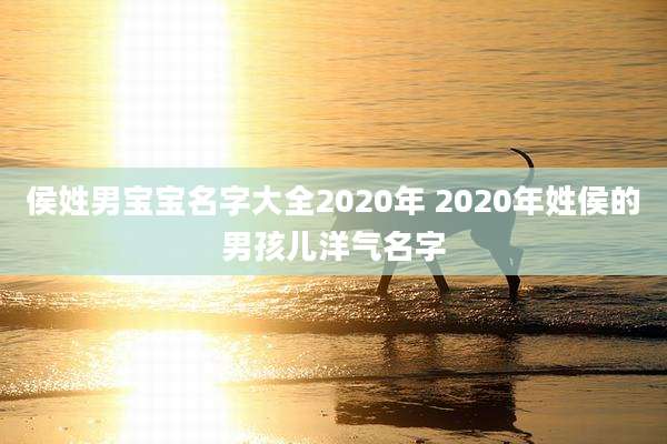 侯姓男宝宝名字大全2020年 2020年姓侯的男孩儿洋气名字