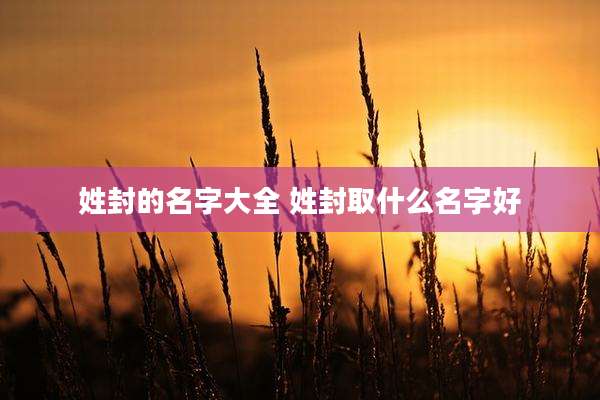姓封的名字大全 姓封取什么名字好