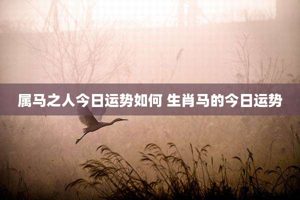 属马之人今日运势如何 生肖马的今日运势