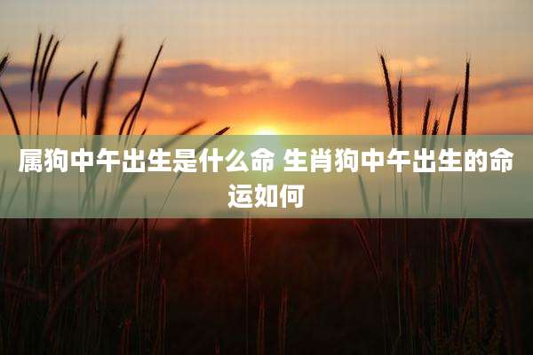 属狗中午出生是什么命 生肖狗中午出生的命运如何
