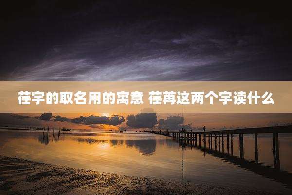 荏字的取名用的寓意 荏苒这两个字读什么