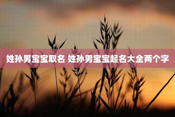 姓孙男宝宝取名 姓孙男宝宝起名大全两个字