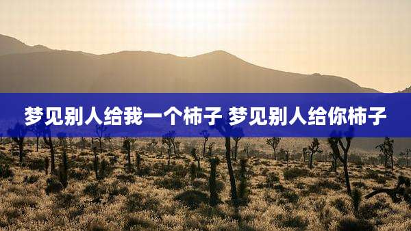 梦见别人给我一个柿子 梦见别人给你柿子