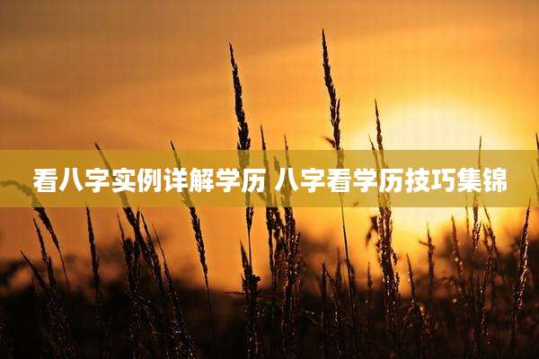 看八字实例详解学历 八字看学历技巧集锦