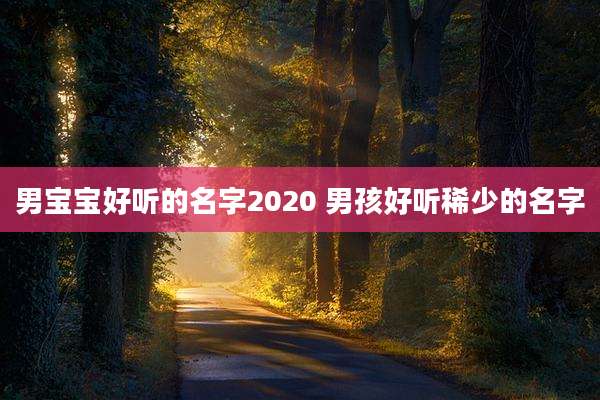 男宝宝好听的名字2020 男孩好听稀少的名字