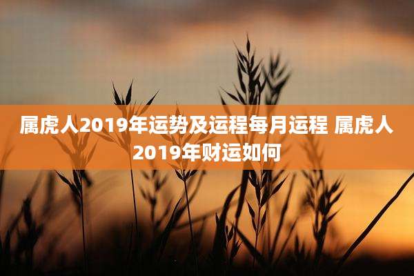 属虎人2019年运势及运程每月运程 属虎人2019年财运如何