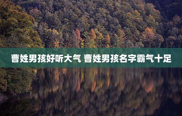 曹姓男孩好听大气 曹姓男孩名字霸气十足