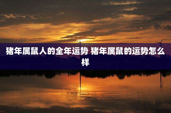 猪年属鼠人的全年运势 猪年属鼠的运势怎么样