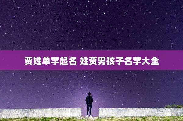 贾姓单字起名 姓贾男孩子名字大全