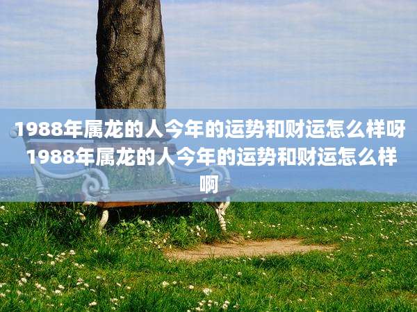 1988年属龙的人今年的运势和财运怎么样呀 1988年属龙的人今年的运势和财运怎么样啊
