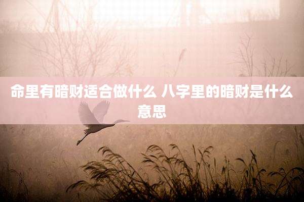 命里有暗财适合做什么 八字里的暗财是什么意思