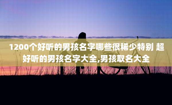 1200个好听的男孩名字哪些很稀少特别 超好听的男孩名字大全,男孩取名大全