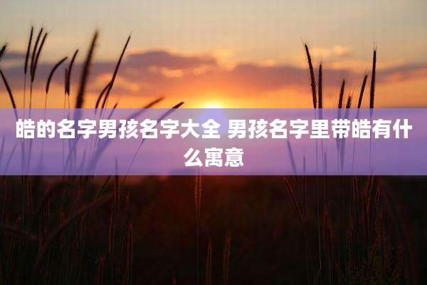 皓的名字男孩名字大全 男孩名字里带皓有什么寓意