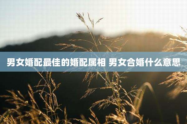 男女婚配最佳的婚配属相 男女合婚什么意思