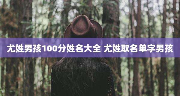 尤姓男孩100分姓名大全 尤姓取名单字男孩