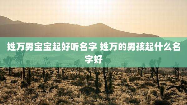 姓万男宝宝起好听名字 姓万的男孩起什么名字好