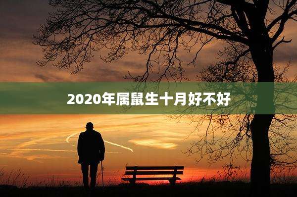 2020年属鼠生十月好不好