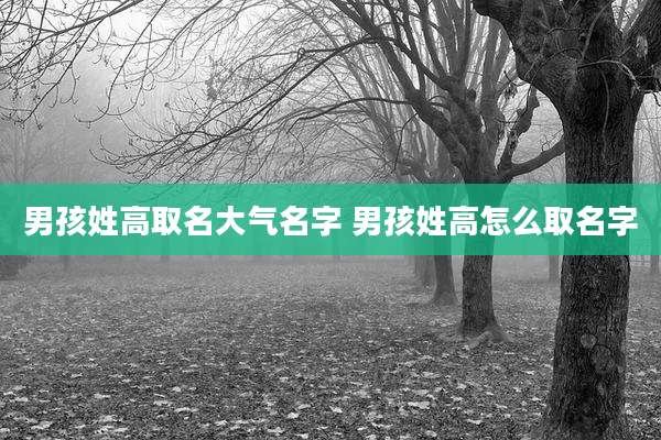 男孩姓高取名大气名字 男孩姓高怎么取名字