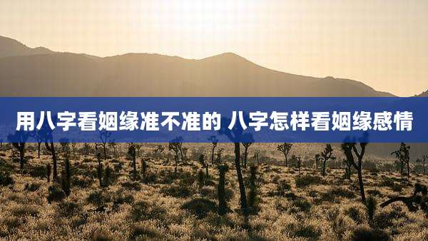 用八字看姻缘准不准的 八字怎样看姻缘感情