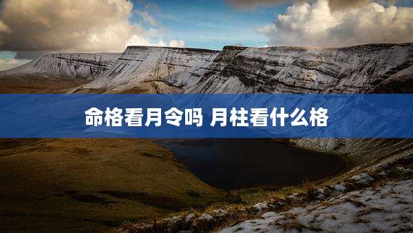 命格看月令吗 月柱看什么格