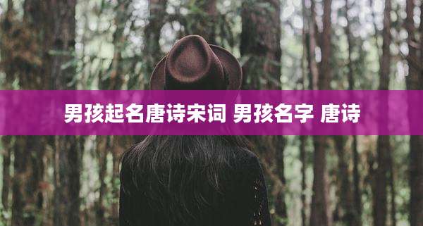 男孩起名唐诗宋词 男孩名字 唐诗