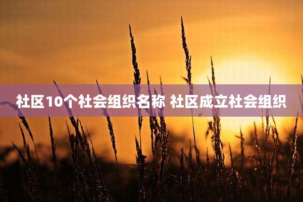 社区10个社会组织名称 社区成立社会组织