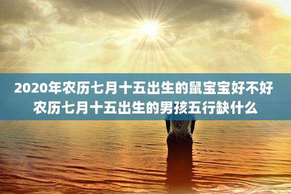 2020年农历七月十五出生的鼠宝宝好不好 农历七月十五出生的男孩五行缺什么