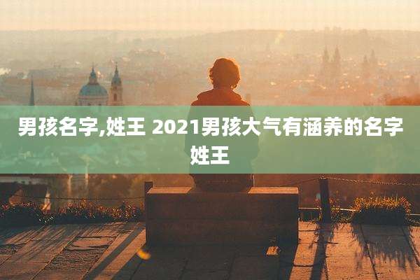 男孩名字,姓王 2021男孩大气有涵养的名字姓王