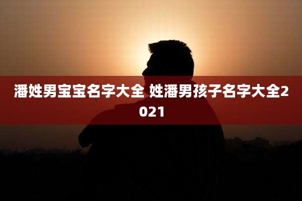 潘姓男宝宝名字大全 姓潘男孩子名字大全2021