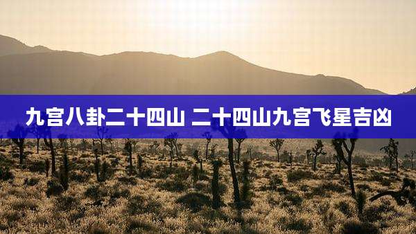 九宫八卦二十四山 二十四山九宫飞星吉凶