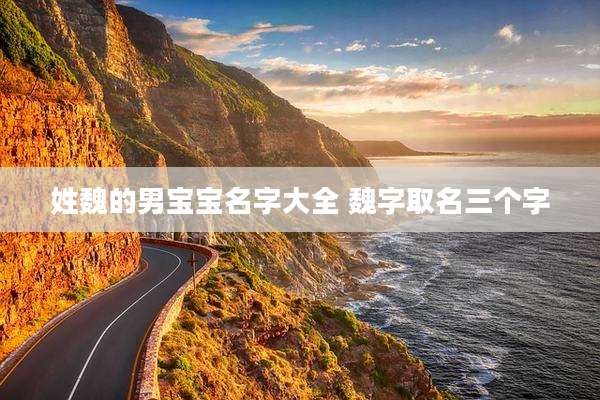 姓魏的男宝宝名字大全 魏字取名三个字
