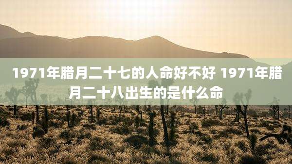 1971年腊月二十七的人命好不好 1971年腊月二十八出生的是什么命