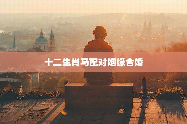 十二生肖马配对姻缘合婚